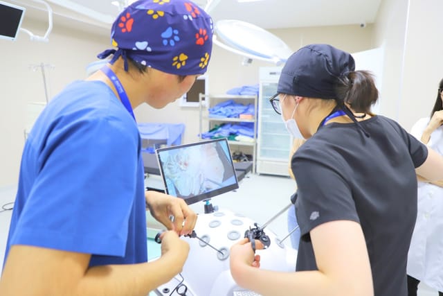 Practice on a laparoscopic trainer