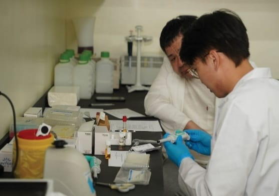 Laboratory practice